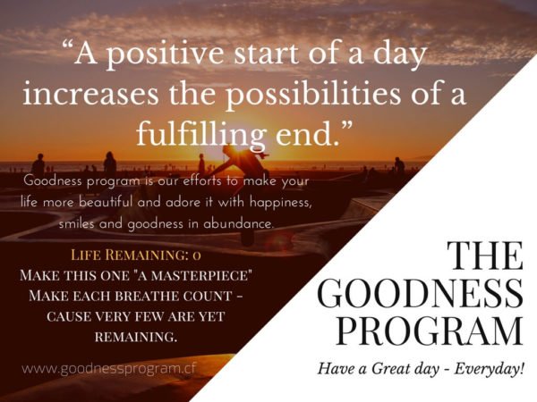 The Goodness Program